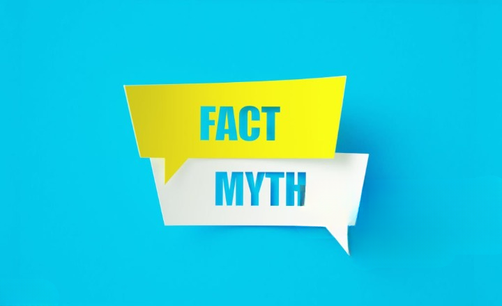 seo myths and facts